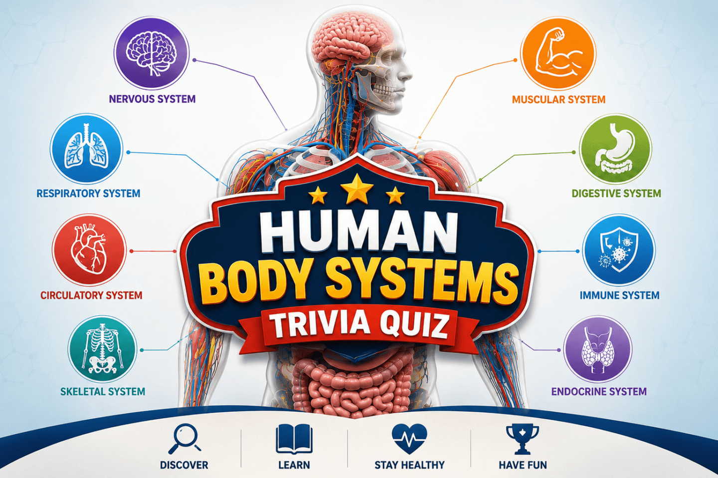 Human Body Systems Trivia Quiz