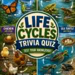 life cycles trivia quiz
