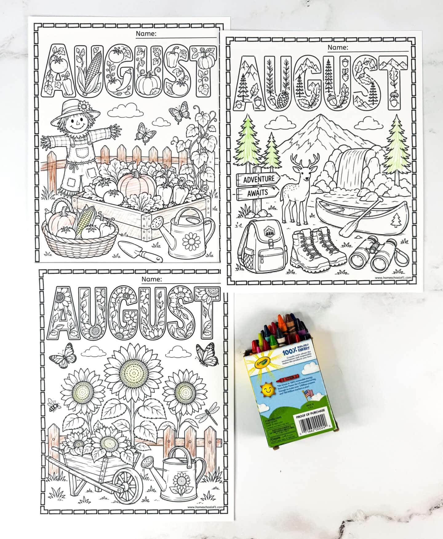 August coloring pages with harvest garden, outdoor adventure, and sunflower coloring sheets celebrating late summer