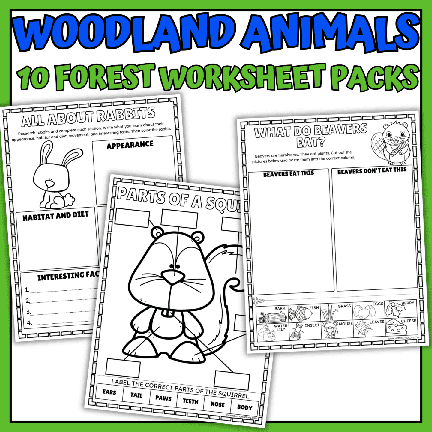 Woodland Animals Worksheets