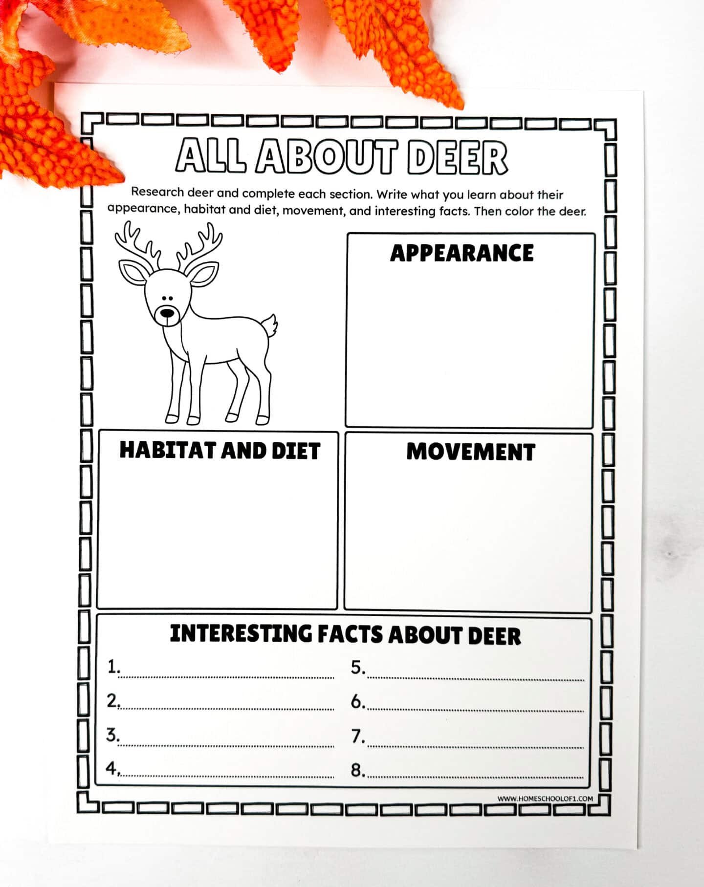 Deer research worksheet about habitat, diet, movement and interesting facts