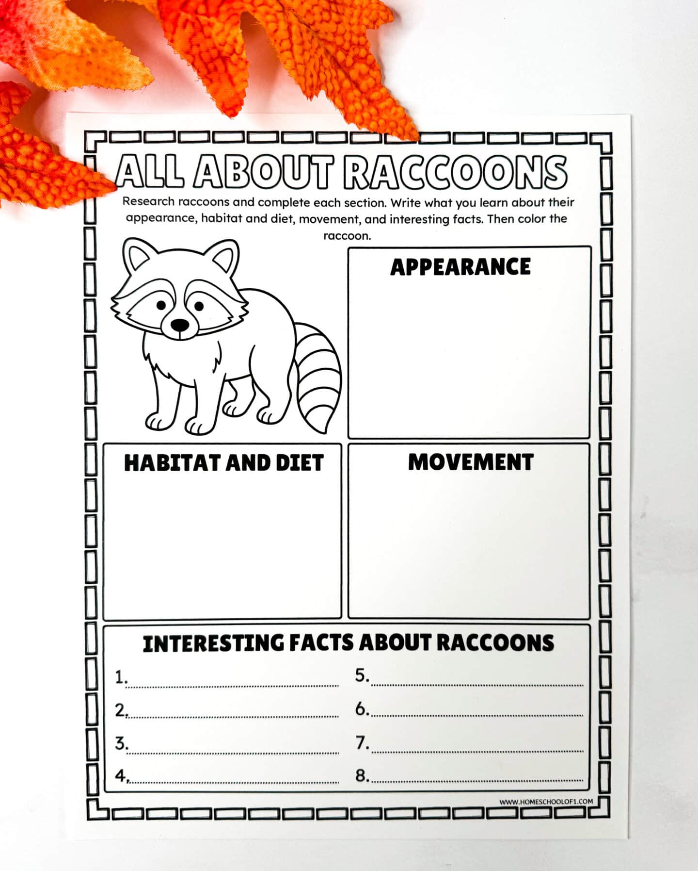 Raccoon research worksheet for kids covering habitat, diet, appearance, movement, and interesting facts