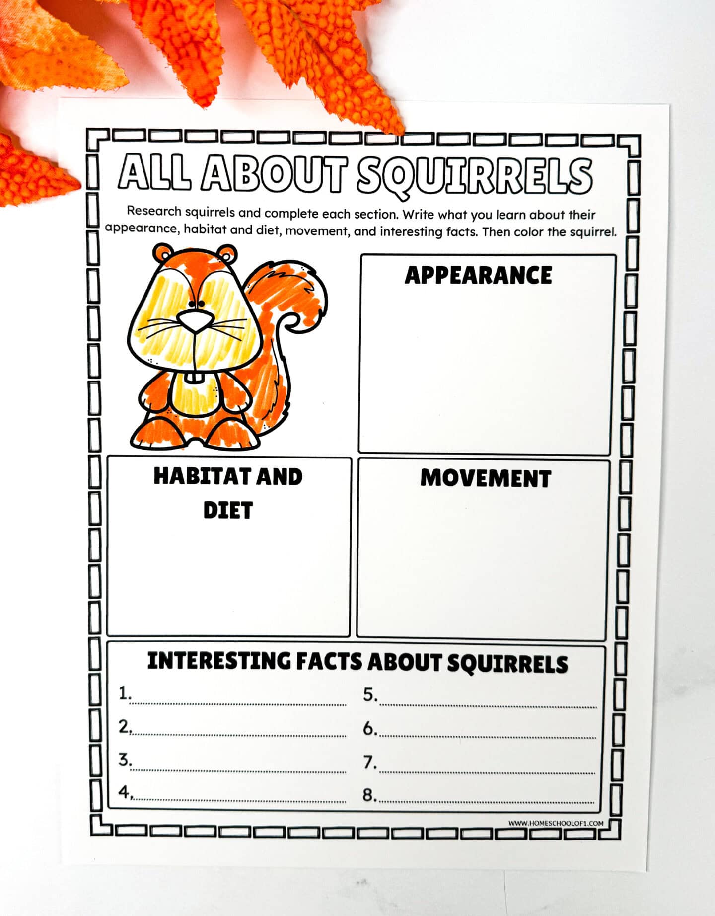 Squirrel research worksheet covering habitat, diet, movement, appearance, and facts