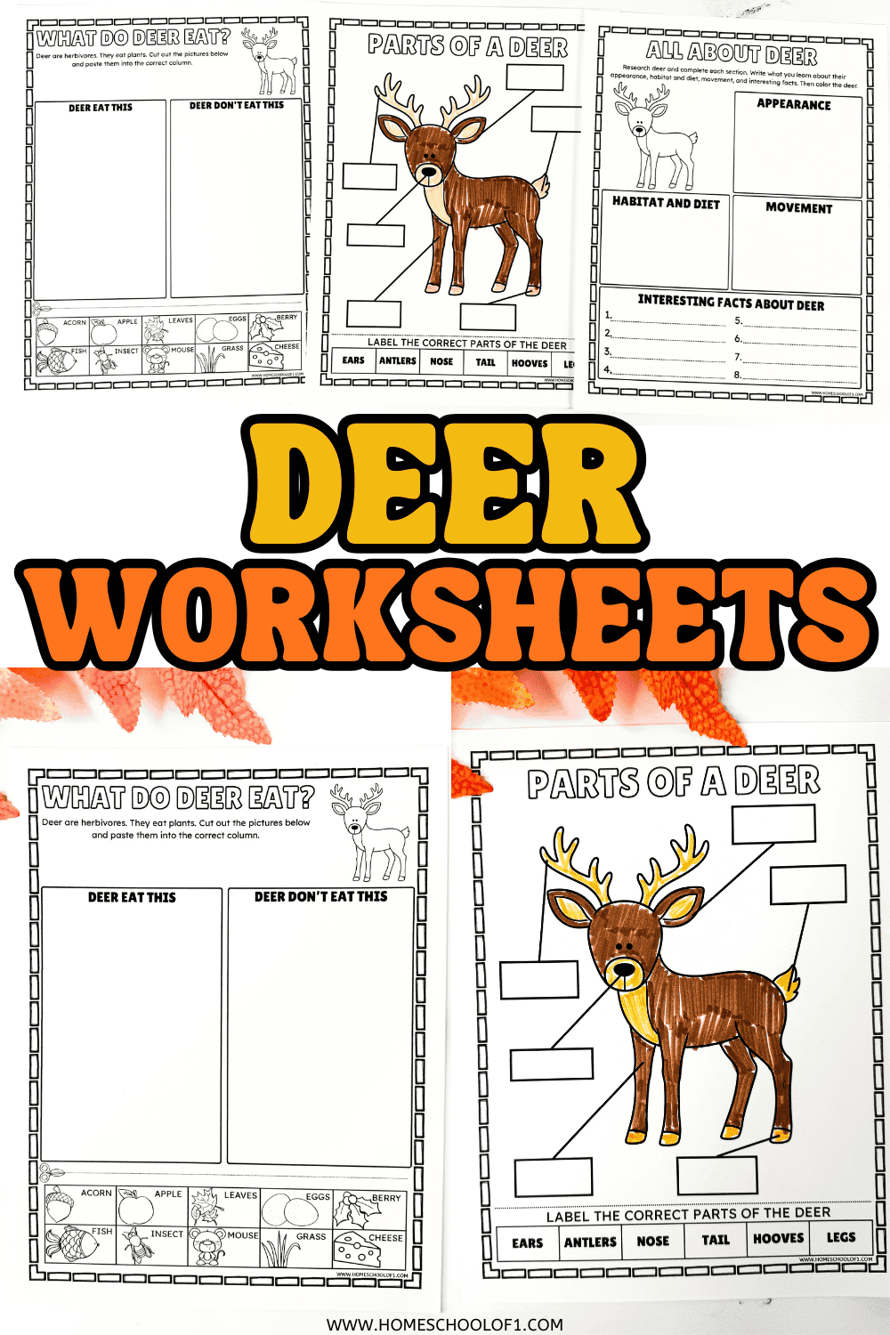 Deer worksheets for kids with anatomy, research and diet activities
