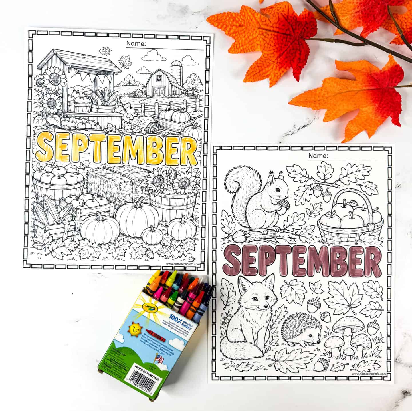 Fall coloring sheets with pumpkins, apples, woodland animals, and a harvest scene