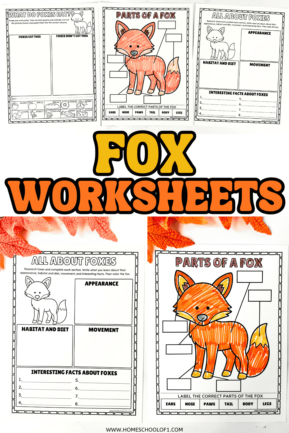 Fox worksheets for kids with anatomy, research and diet activities