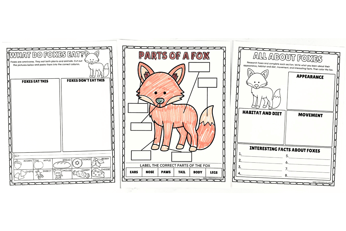 Free fox worksheets for elementary science and woodland animal studies