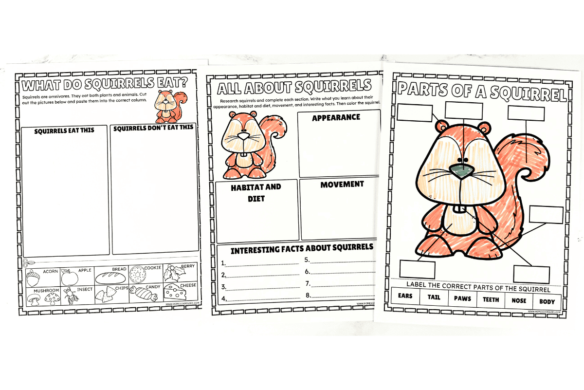 Printable squirrel worksheets for elementary students with three science activities