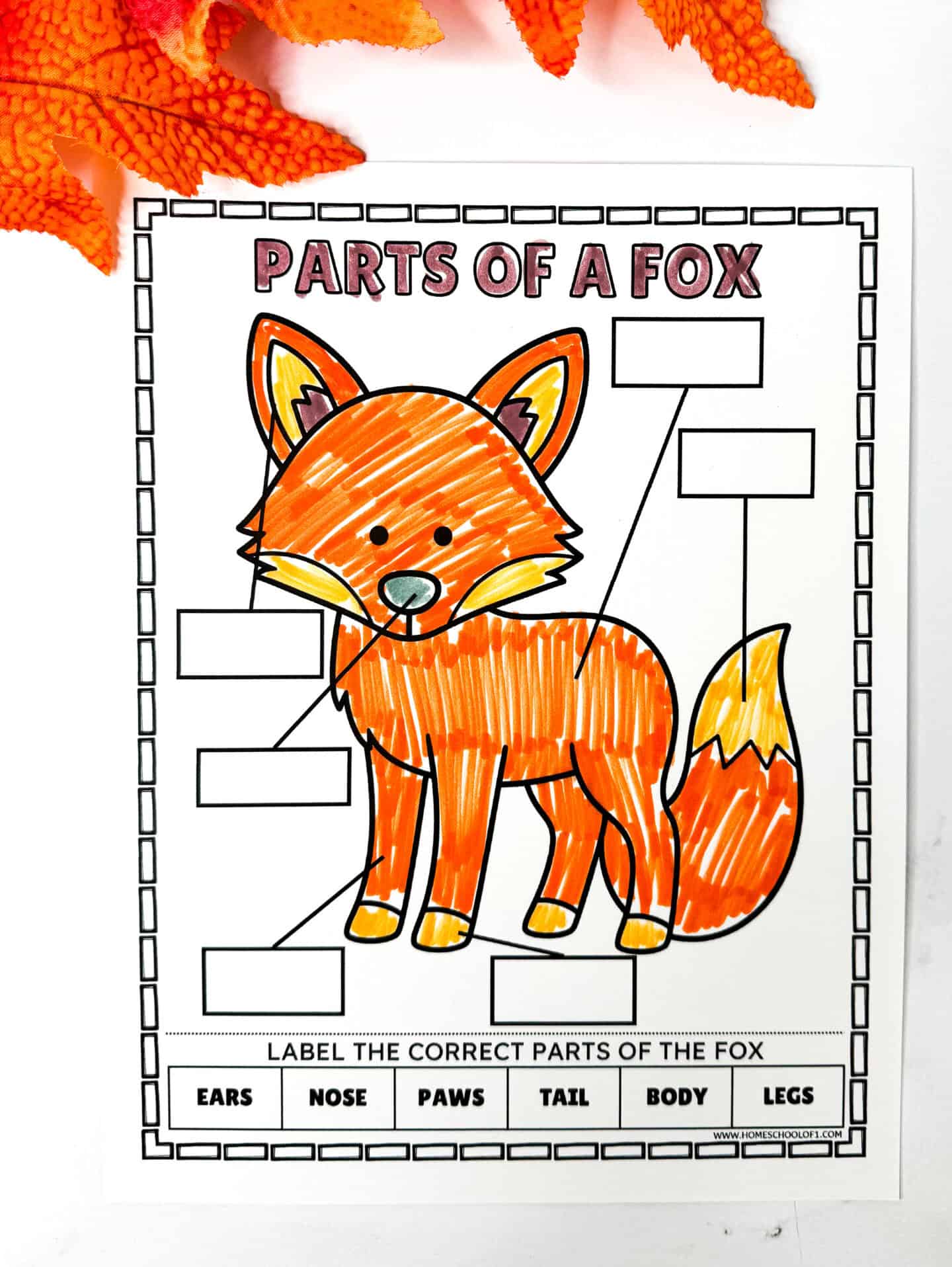 Parts of a fox worksheet for kids to label and color