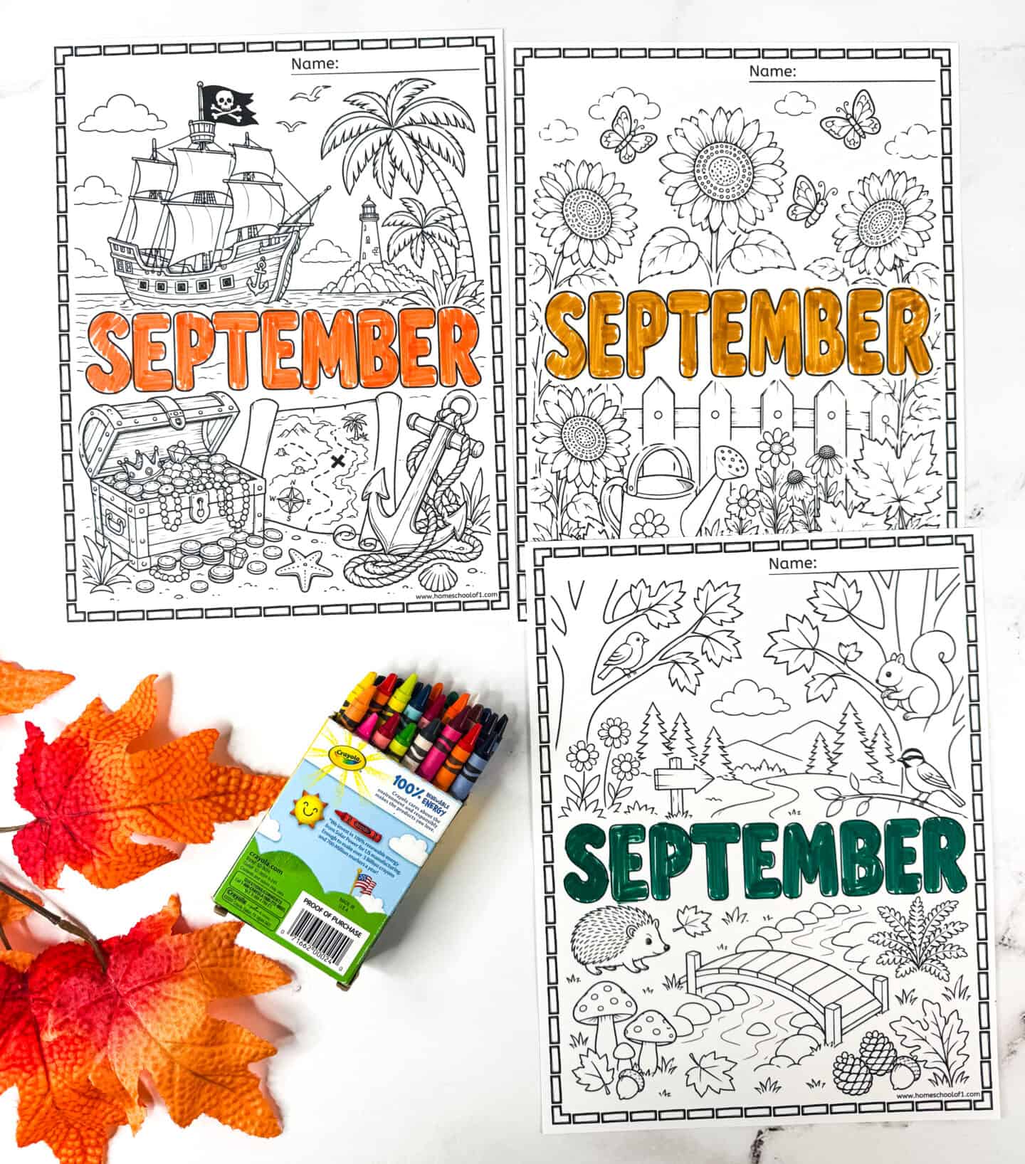 Pirate, sunflower, and woodland animal coloring sheets for September