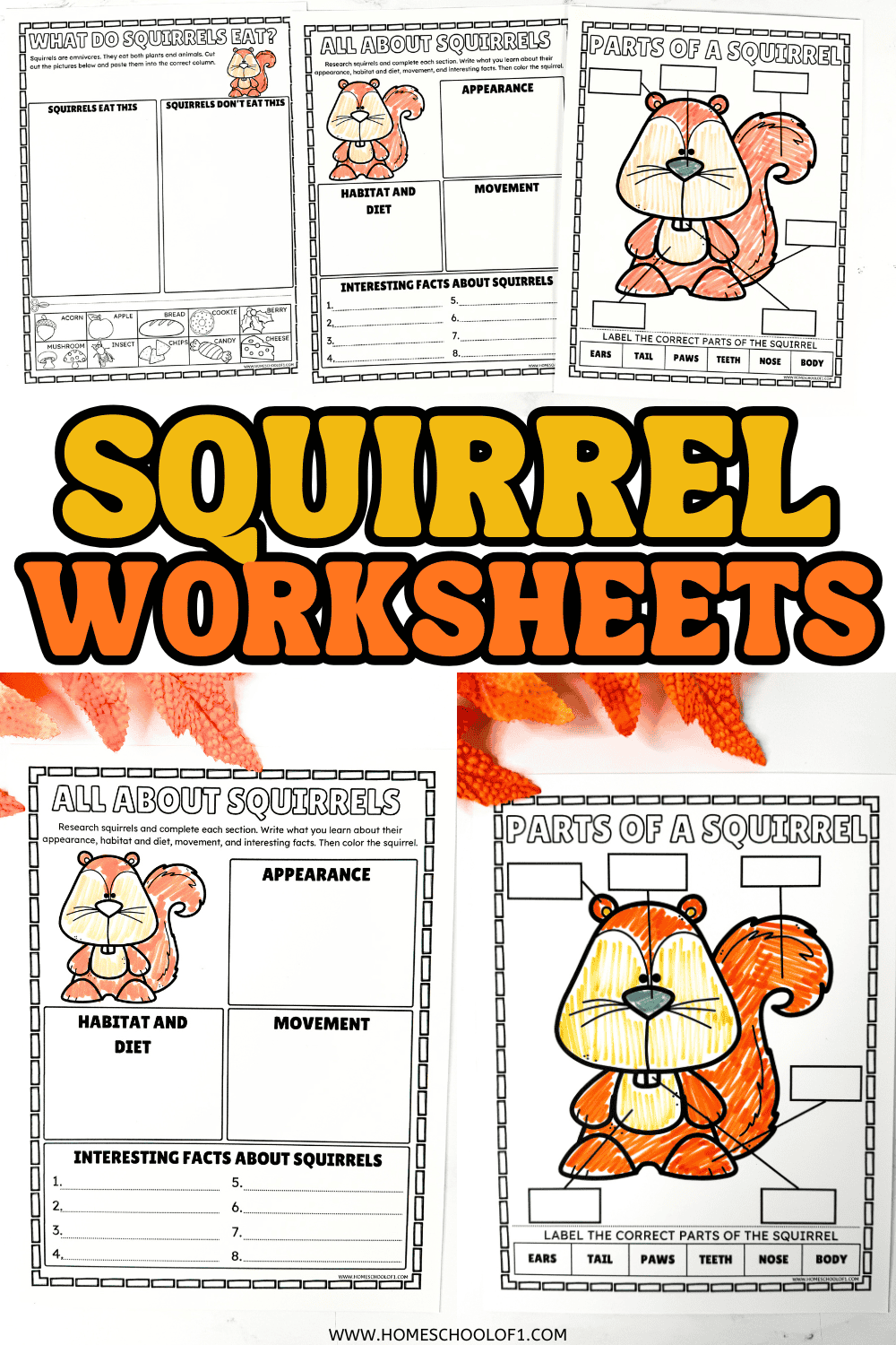 Free squirrel worksheets for kids with anatomy, diet, and squirrel research activities