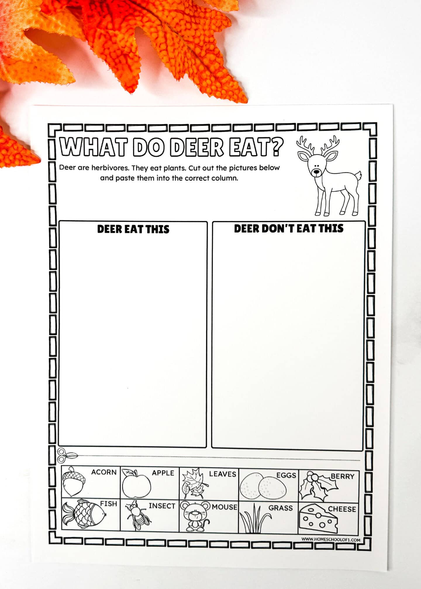What do deer eat worksheet with cut and paste food sorting activity