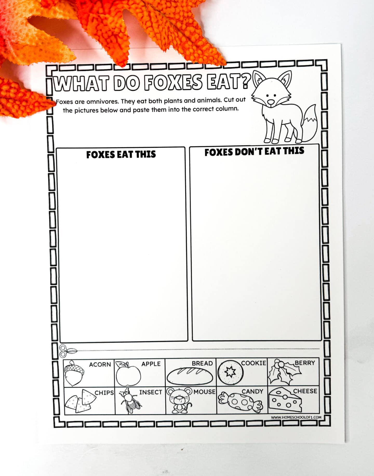 What do foxes eat worksheet with cut and paste food sorting activity